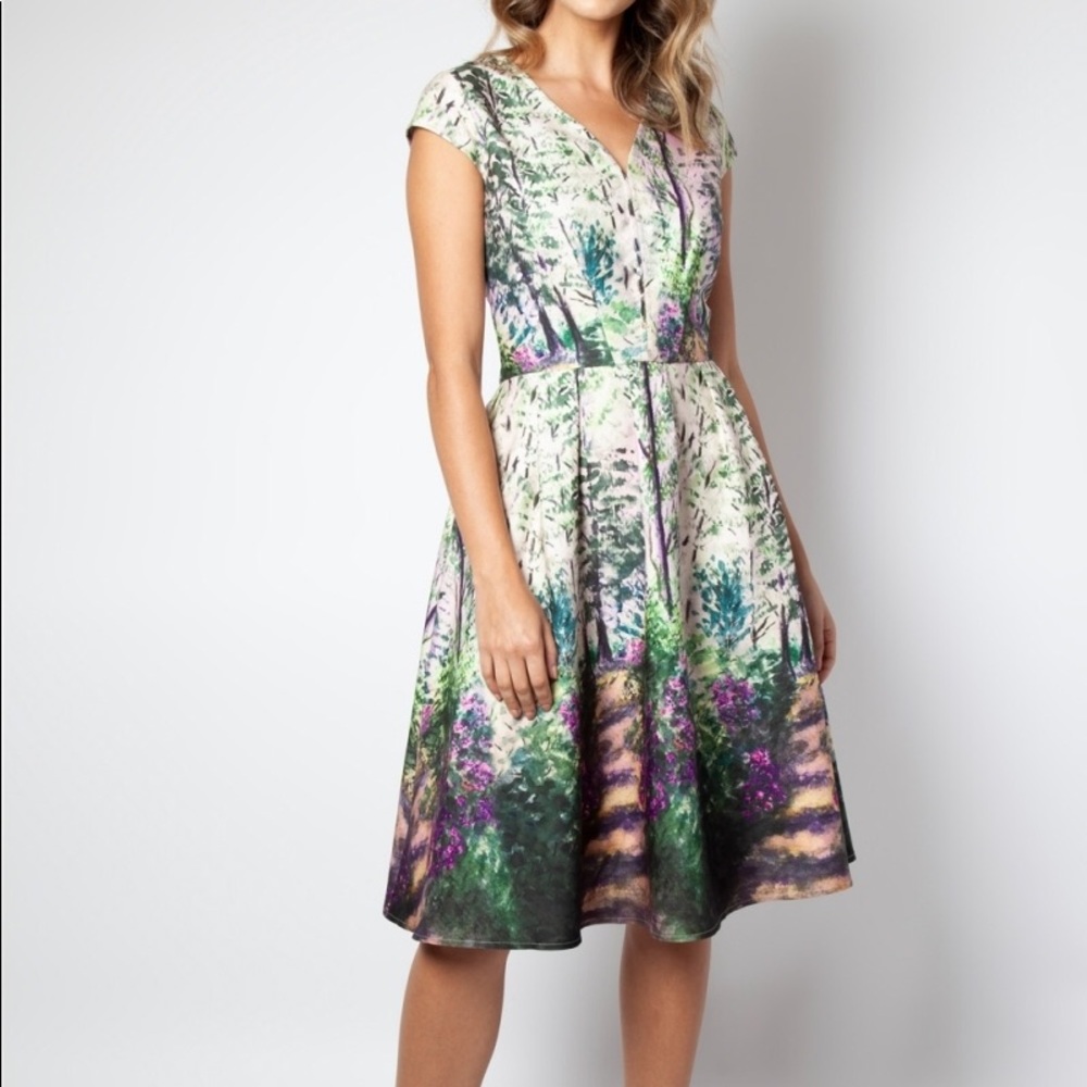 NWT Garden Path Painting Dress